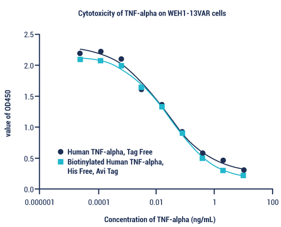 TNF-alpha humain recombinant